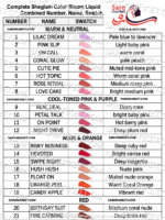 رژ گونه مایع کالر بلوم شیگلم (SHEGLAM) LIST